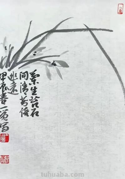 淡墨轻染，简笔传神：品读一觉的大写意花鸟世界 - 图画吧TUHUABA