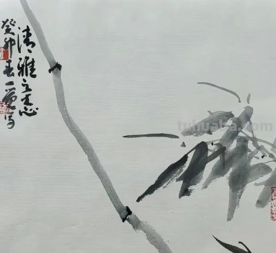 淡墨轻染，简笔传神：品读一觉的大写意花鸟世界 - 图画吧TUHUABA