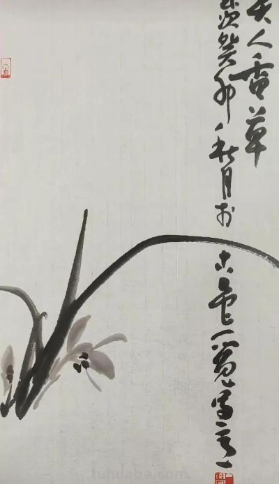 淡墨轻染，简笔传神：品读一觉的大写意花鸟世界 - 图画吧TUHUABA