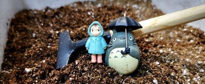 新手必看!阳台懒人盆栽菜指南,不用施肥不用管,养死算我输 - 今日头条 新手必看!阳台懒人盆栽菜指南,不用施肥不用管,养死算我输 - 图画吧TUHUABA