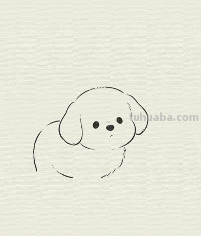 奶呼呼的可爱小狗简笔画分享丨每一幅画 - 图画吧TUHUABA
