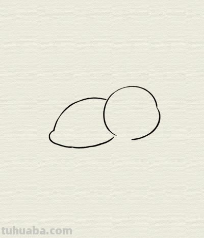 龟壳圆圆慢慢爬 稳稳当当走天下丨每天一幅画幼儿启蒙小乌龟简笔画 - 图画吧TUHUABA