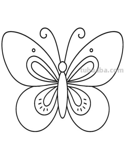 蝴蝶的简笔画线稿图 - 图画吧TUHUABA