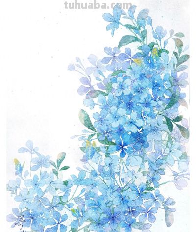 治愈系花卉小插画，温暖每个瞬间，光看着就心情大好 - 今日头条