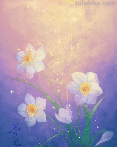 治愈系花卉小插画，温暖每个瞬间，光看着就心情大好 - 图画吧TUHUABA