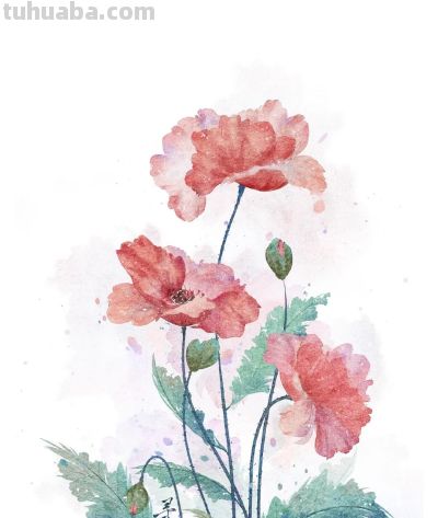 治愈系花卉小插画，温暖每个瞬间，光看着就心情大好 - 图画吧TUHUABA