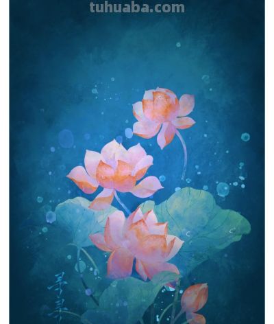 治愈系花卉小插画，温暖每个瞬间，光看着就心情大好 - 图画吧TUHUABA