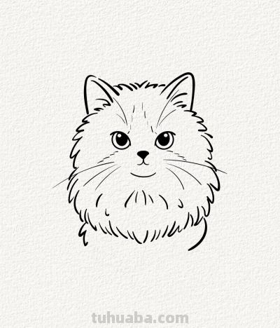 有趣的软萌狮子猫丨涂鸦简笔画分享 - 图画吧TUHUABA