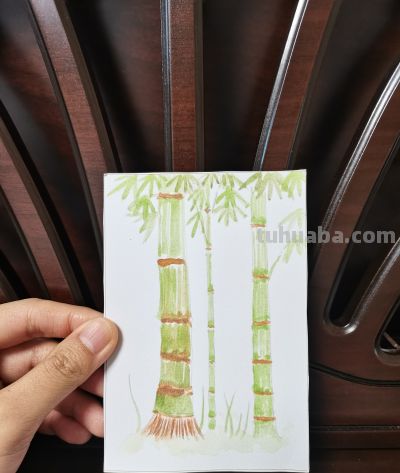 51 竹子（绘画 水彩 果花甘06） - 图画吧TUHUABA