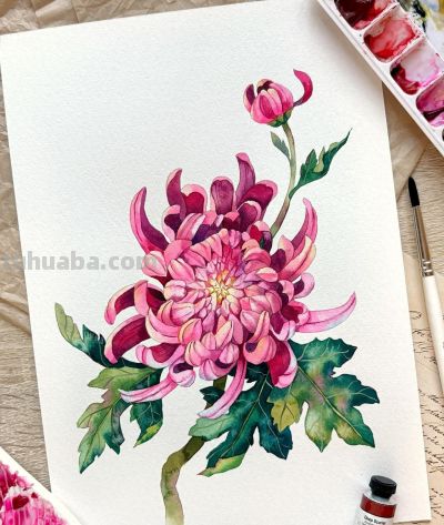 画一幅水彩“花卉”，是画家最好的一首诗 - 今日头条