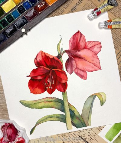 画一幅水彩“花卉”，是画家最好的一首诗 - 图画吧TUHUABA