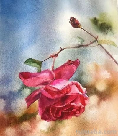 几张水彩画，简单又漂亮 - 图画吧TUHUABA