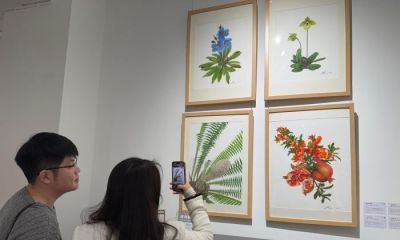 沈阳：用水彩绘本艺术之美唤醒人们对自然的敬畏和向往 - 图画吧TUHUABA