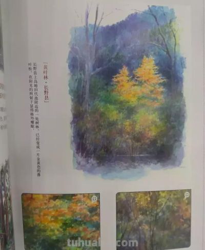 水彩好书推荐！增山修VS野村重存 - 图画吧TUHUABA