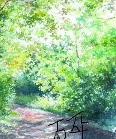 水彩好书推荐！增山修VS野村重存 - 图画吧TUHUABA