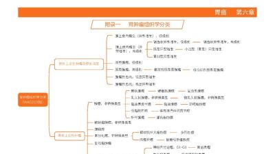 胃癌 诊疗指南思维导图（2025版） - 图画吧TUHUABA