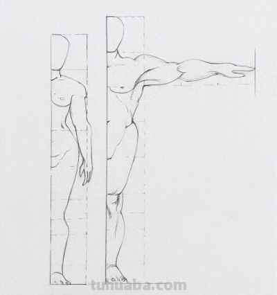 素描——了解人体结构 - 今日头条