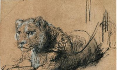 伦勃朗素描《休憩的幼狮》拍出1270万欧元高价 - 今日头条