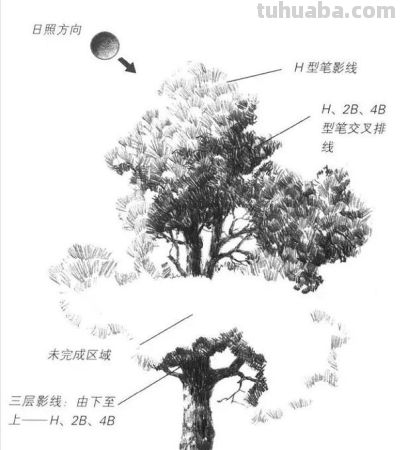 风景素描绘画入门之基础技法 - 图画吧TUHUABA
