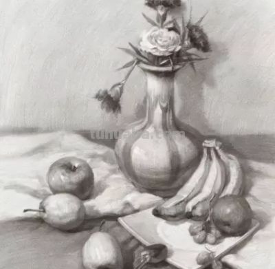 零基础如何学习静物素描？ - 图画吧TUHUABA