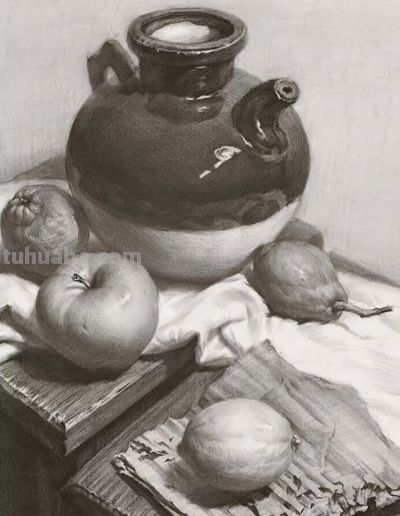 零基础如何学习静物素描？ - 图画吧TUHUABA