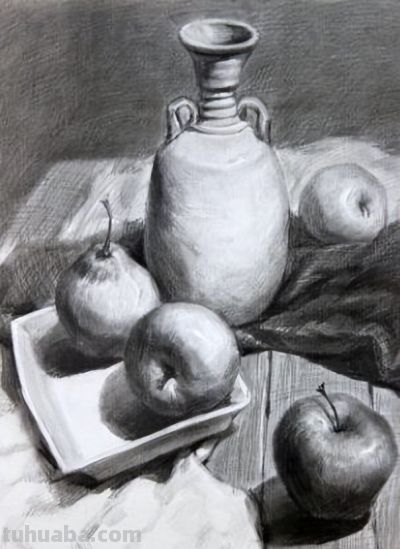 零基础如何学习静物素描？ - 图画吧TUHUABA