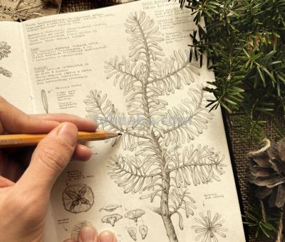 太爽了！4年9本素描，用放大镜画细节，铅笔被她画成了“教科书” - 图画吧TUHUABA