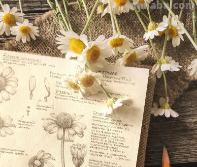 太爽了！4年9本素描，用放大镜画细节，铅笔被她画成了“教科书” - 图画吧TUHUABA