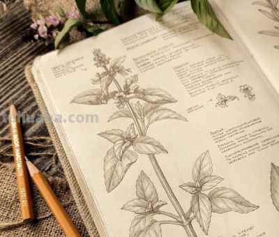 太爽了！4年9本素描，用放大镜画细节，铅笔被她画成了“教科书” - 图画吧TUHUABA