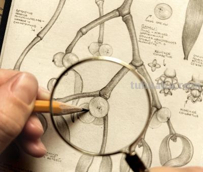 太爽了！4年9本素描，用放大镜画细节，铅笔被她画成了“教科书” - 图画吧TUHUABA