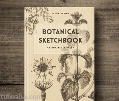 太爽了！4年9本素描，用放大镜画细节，铅笔被她画成了“教科书” - 图画吧TUHUABA