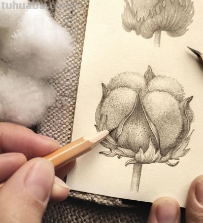 太爽了！4年9本素描，用放大镜画细节，铅笔被她画成了“教科书” - 图画吧TUHUABA