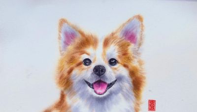 当小动物遇上水彩魔法，这波可爱暴击谁能扛得住，画风治愈到犯规 - 图画吧TUHUABA