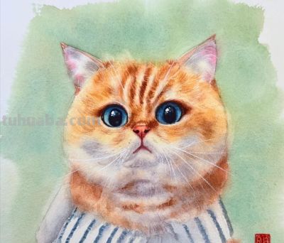 当小动物遇上水彩魔法，这波可爱暴击谁能扛得住，画风治愈到犯规 - 图画吧TUHUABA