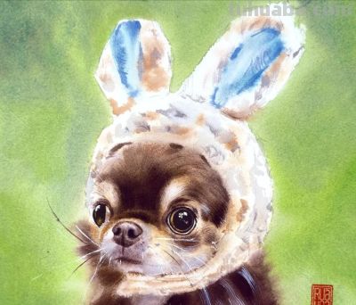 当小动物遇上水彩魔法，这波可爱暴击谁能扛得住，画风治愈到犯规 - 图画吧TUHUABA