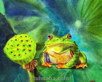 当小动物遇上水彩魔法，这波可爱暴击谁能扛得住，画风治愈到犯规 - 图画吧TUHUABA