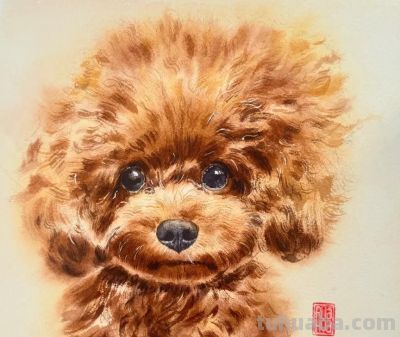 当小动物遇上水彩魔法，这波可爱暴击谁能扛得住，画风治愈到犯规 - 图画吧TUHUABA