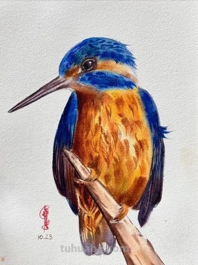 当小动物遇上水彩魔法，这波可爱暴击谁能扛得住，画风治愈到犯规 - 图画吧TUHUABA