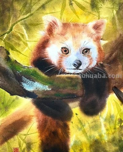 当小动物遇上水彩魔法，这波可爱暴击谁能扛得住，画风治愈到犯规 - 图画吧TUHUABA