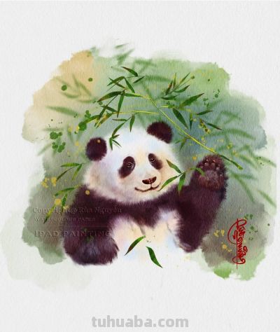 当小动物遇上水彩魔法，这波可爱暴击谁能扛得住，画风治愈到犯规 - 图画吧TUHUABA