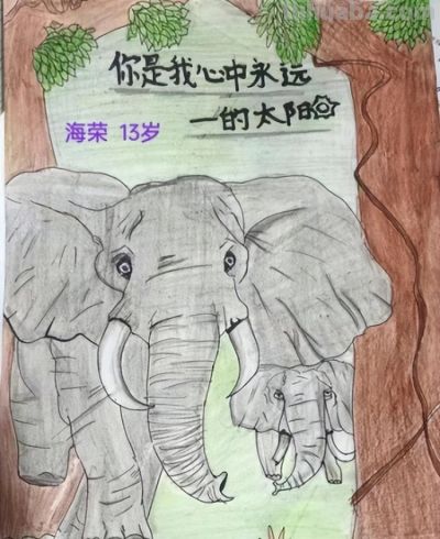 世界野生动植物日┋新疆植物学会系列活动之优秀征集作品展示（二） - 今日头条