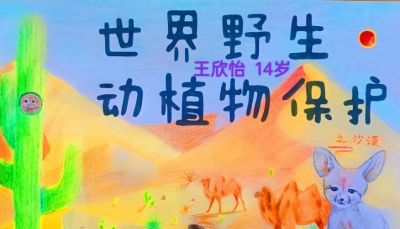 世界野生动植物日┋新疆植物学会系列活动之优秀征集作品展示（二） - 图画吧TUHUABA
