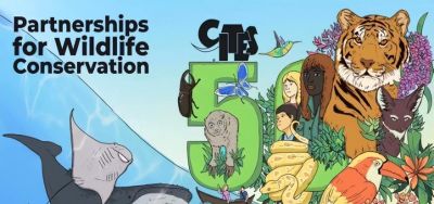 世界野生动植物日┋新疆植物学会系列活动之优秀征集作品展示（二） - 图画吧TUHUABA