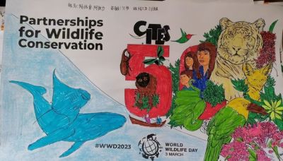 世界野生动植物日┋新疆植物学会系列活动之优秀征集作品展示（二） - 图画吧TUHUABA