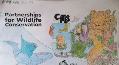 世界野生动植物日┋新疆植物学会系列活动之优秀征集作品展示（二） - 图画吧TUHUABA