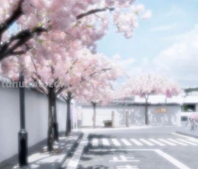 背景图｜卡通动漫头像套图搭配（8套） - 图画吧TUHUABA