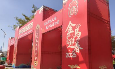 花言花语，鲜花与春节，绝配！ - 今日头条