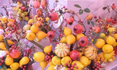 花言花语，鲜花与春节，绝配！ - 图画吧TUHUABA