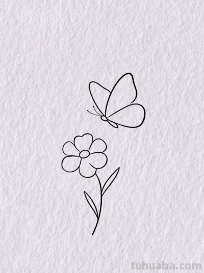 蝴蝶与花 定格春日温柔丨桉桉静简笔画分享 - 今日头条 蝴蝶与花 定格春日温柔丨桉桉静简笔画分享 - 图画吧TUHUABA