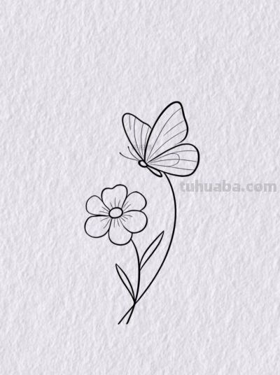 蝴蝶与花 定格春日温柔丨桉桉静简笔画分享 - 今日头条 蝴蝶与花 定格春日温柔丨桉桉静简笔画分享 - 图画吧TUHUABA